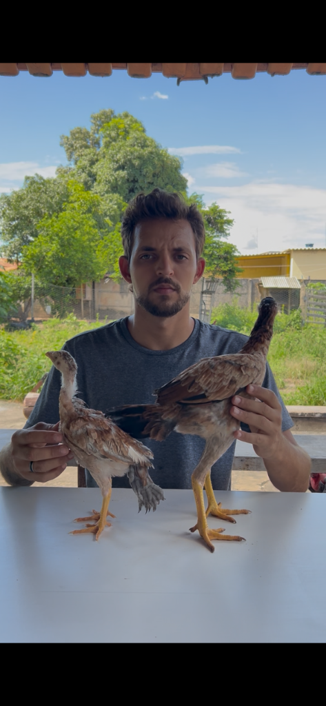 Comparação de Crescimento